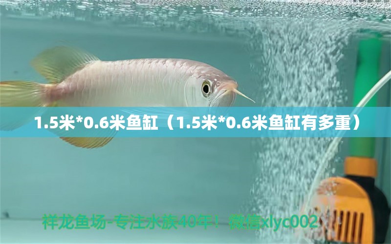 1.5米*0.6米鱼缸（1.5米*0.6米鱼缸有多重） 鱼缸百科