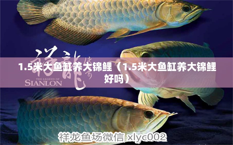 1.5米大鱼缸养大锦鲤（1.5米大鱼缸养大锦鲤好吗） 其他品牌鱼缸