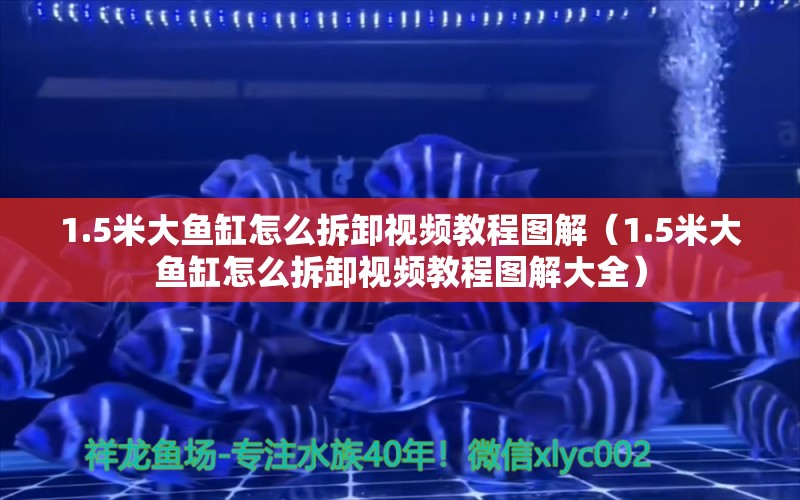 1.5米大鱼缸怎么拆卸视频教程图解（1.5米大鱼缸怎么拆卸视频教程图解大全） 其他品牌鱼缸