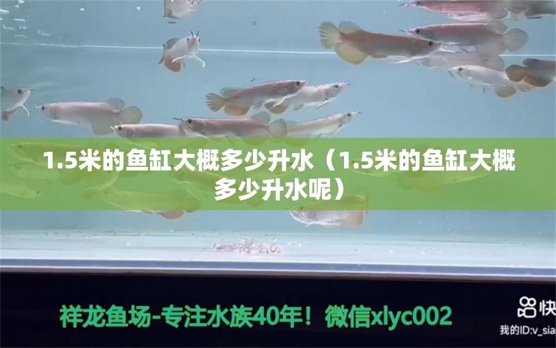 1.5米的鱼缸大概多少升水（1.5米的鱼缸大概多少升水呢） 其他品牌鱼缸