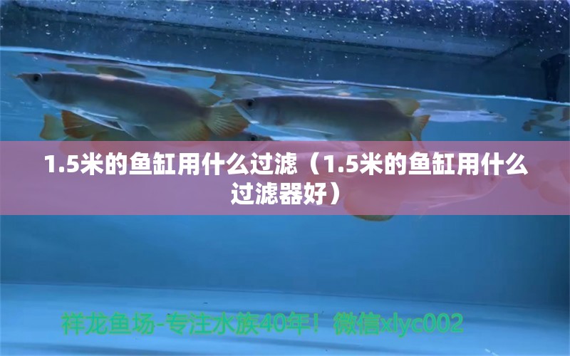 1.5米的鱼缸用什么过滤（1.5米的鱼缸用什么过滤器好）