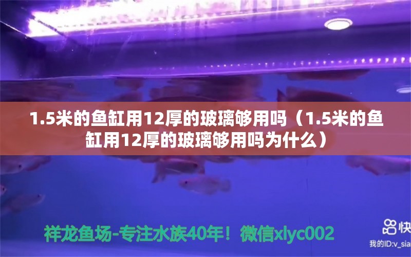 1.5米的鱼缸用12厚的玻璃够用吗（1.5米的鱼缸用12厚的玻璃够用吗为什么）