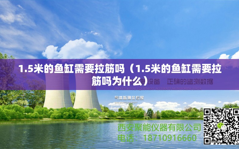 1.5米的鱼缸需要拉筋吗（1.5米的鱼缸需要拉筋吗为什么） 鱼缸百科