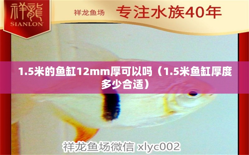 1.5米的鱼缸12mm厚可以吗（1.5米鱼缸厚度多少合适）