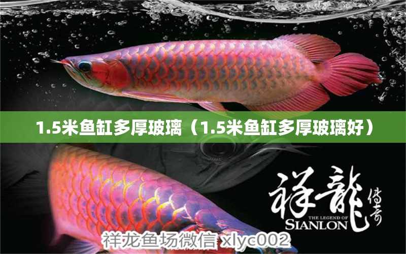 1.5米鱼缸多厚玻璃（1.5米鱼缸多厚玻璃好） 鱼缸百科