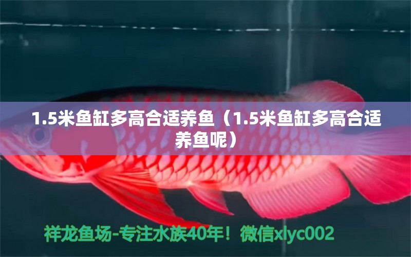 1.5米鱼缸多高合适养鱼（1.5米鱼缸多高合适养鱼呢） 其他品牌鱼缸