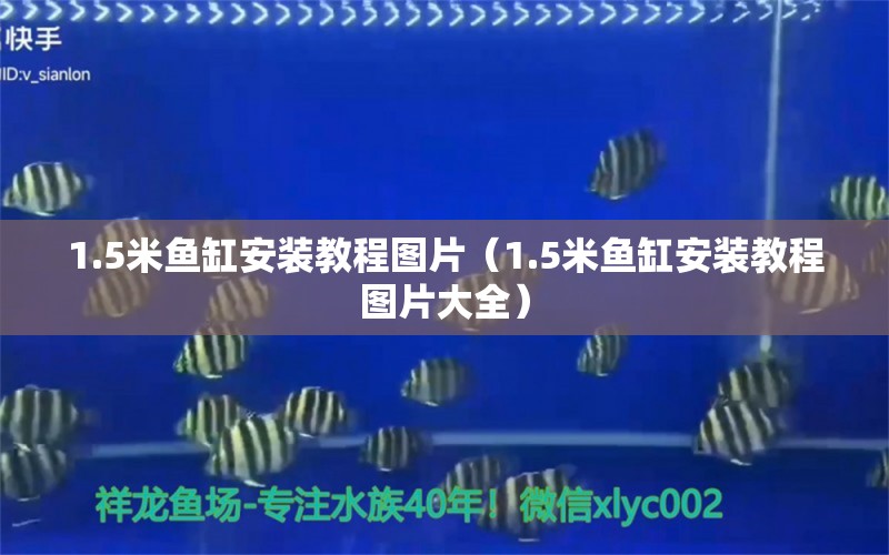 1.5米鱼缸安装教程图片（1.5米鱼缸安装教程图片大全）