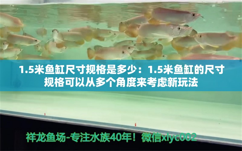 1.5米鱼缸尺寸规格是多少：1.5米鱼缸的尺寸规格可以从多个角度来考虑新玩法