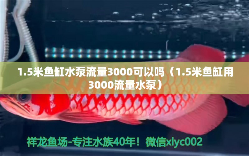 1.5米鱼缸水泵流量3000可以吗（1.5米鱼缸用3000流量水泵） 鱼缸水泵