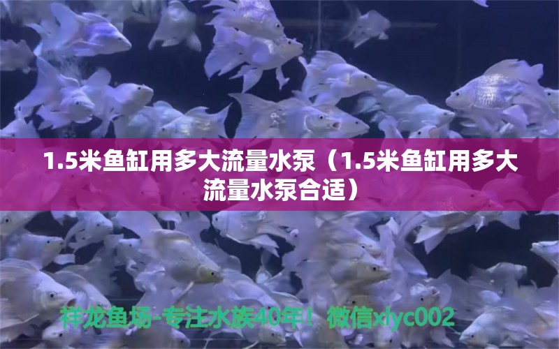 1.5米鱼缸用多大流量水泵（1.5米鱼缸用多大流量水泵合适） 鱼缸百科