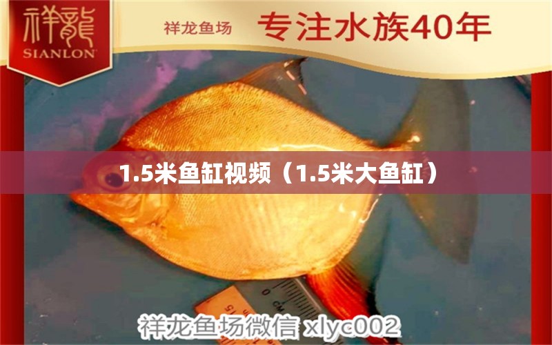 1.5米鱼缸视频（1.5米大鱼缸） 其他品牌鱼缸