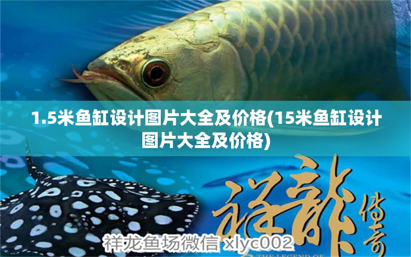 1.5米鱼缸设计图片大全及价格(15米鱼缸设计图片大全及价格) 斑马鸭嘴鱼