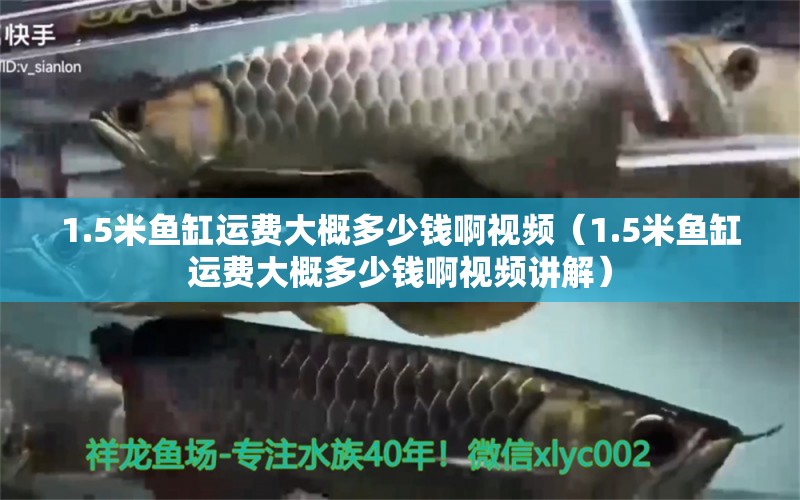 1.5米鱼缸运费大概多少钱啊视频（1.5米鱼缸运费大概多少钱啊视频讲解）