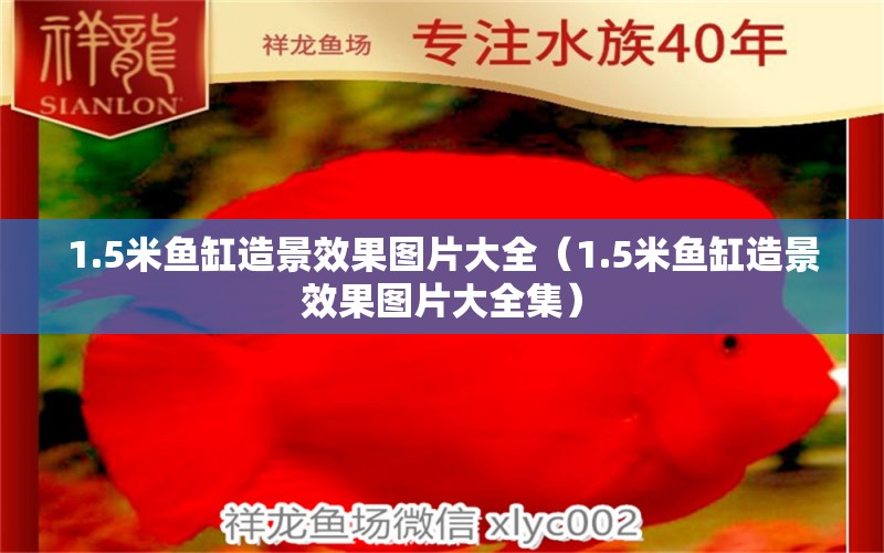 1.5米鱼缸造景效果图片大全（1.5米鱼缸造景效果图片大全集） 其他品牌鱼缸