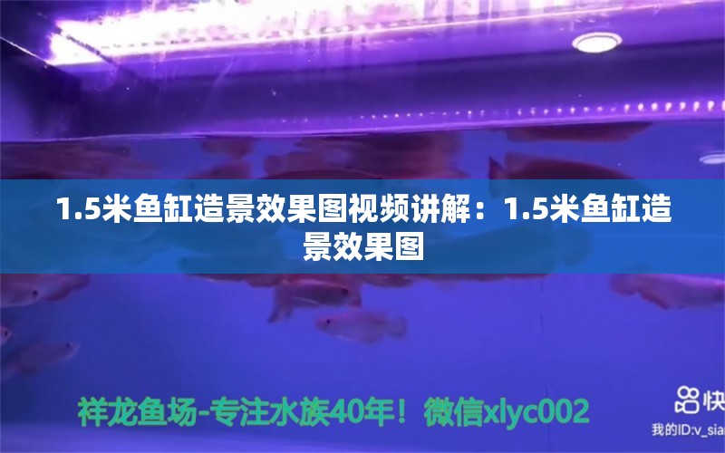 1.5米鱼缸造景效果图视频讲解：1.5米鱼缸造景效果图 鱼缸百科 第2张