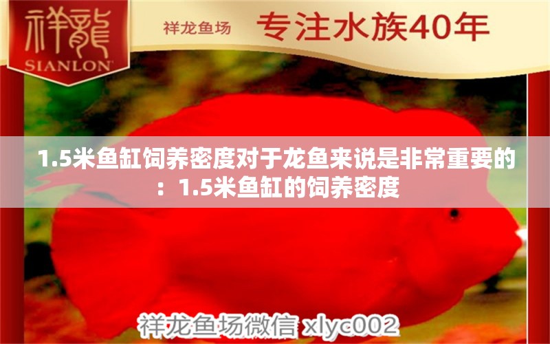 1.5米鱼缸饲养密度对于龙鱼来说是非常重要的：1.5米鱼缸的饲养密度