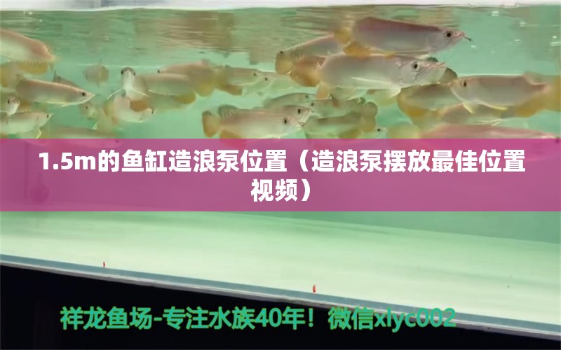 1.5m的鱼缸造浪泵位置（造浪泵摆放最佳位置视频） 鱼缸百科