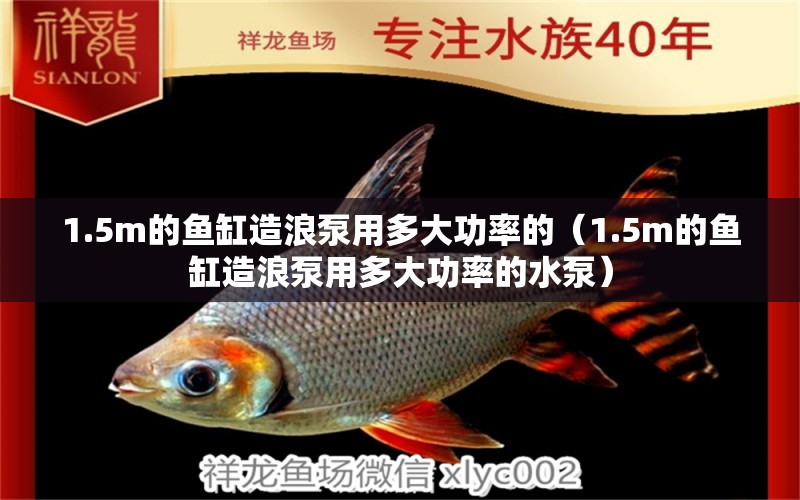 1.5m的鱼缸造浪泵用多大功率的（1.5m的鱼缸造浪泵用多大功率的水泵）