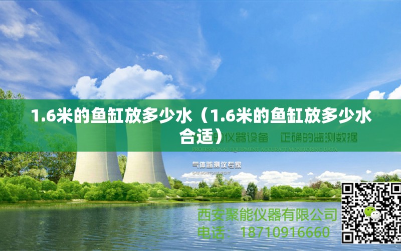 1.6米的鱼缸放多少水（1.6米的鱼缸放多少水合适） 其他品牌鱼缸