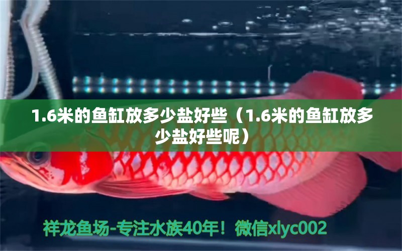 1.6米的鱼缸放多少盐好些（1.6米的鱼缸放多少盐好些呢） 其他品牌鱼缸