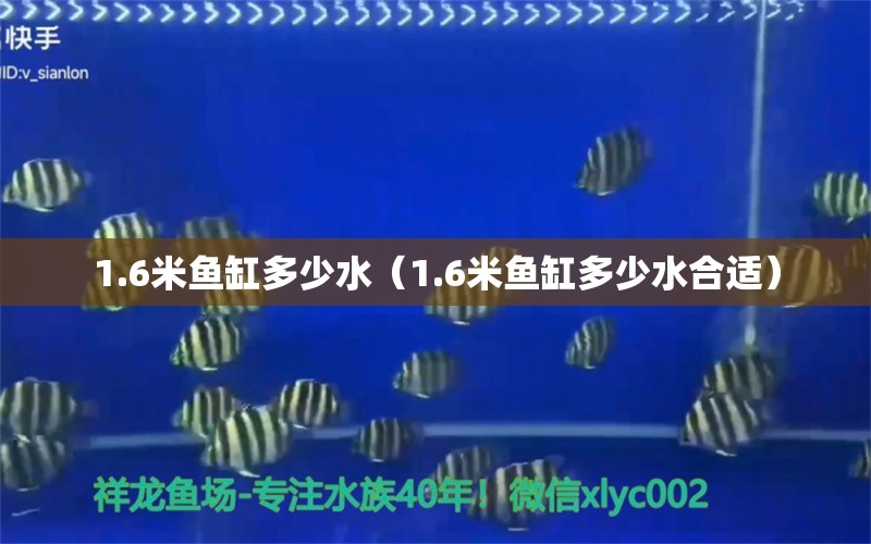 1.6米鱼缸多少水（1.6米鱼缸多少水合适）