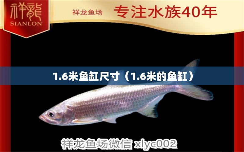 1.6米鱼缸尺寸（1.6米的鱼缸）