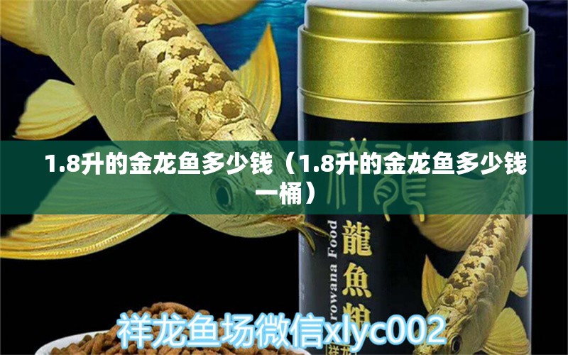 1.8升的金龙鱼多少钱（1.8升的金龙鱼多少钱一桶）