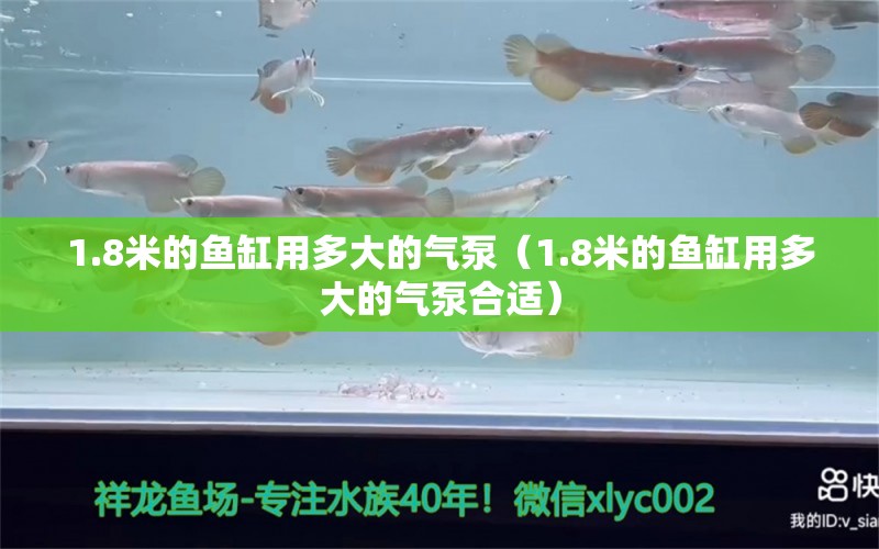 1.8米的鱼缸用多大的气泵（1.8米的鱼缸用多大的气泵合适） 祥龙水族医院