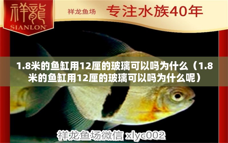 1.8米的鱼缸用12厘的玻璃可以吗为什么（1.8米的鱼缸用12厘的玻璃可以吗为什么呢） 鱼缸