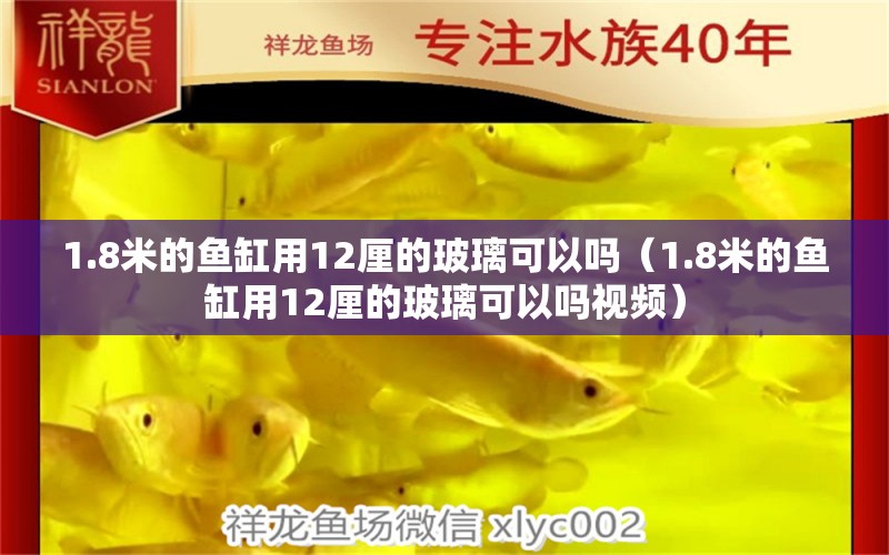 1.8米的鱼缸用12厘的玻璃可以吗（1.8米的鱼缸用12厘的玻璃可以吗视频） 鱼缸百科