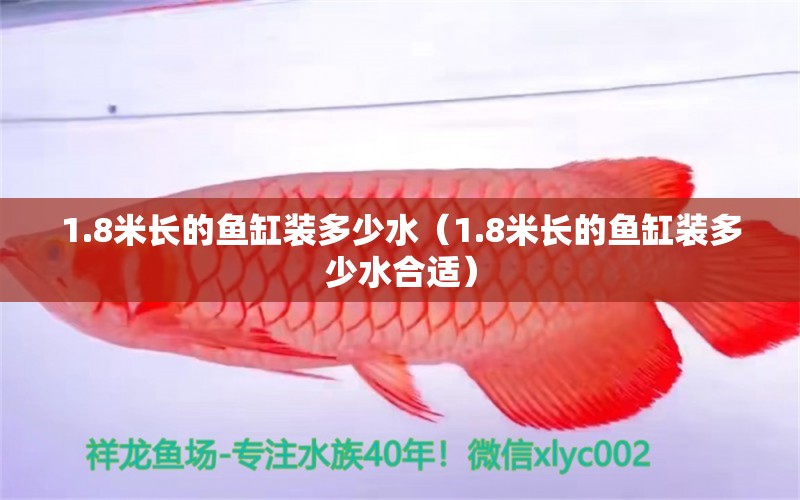 1.8米长的鱼缸装多少水（1.8米长的鱼缸装多少水合适） 祥龙水族医院