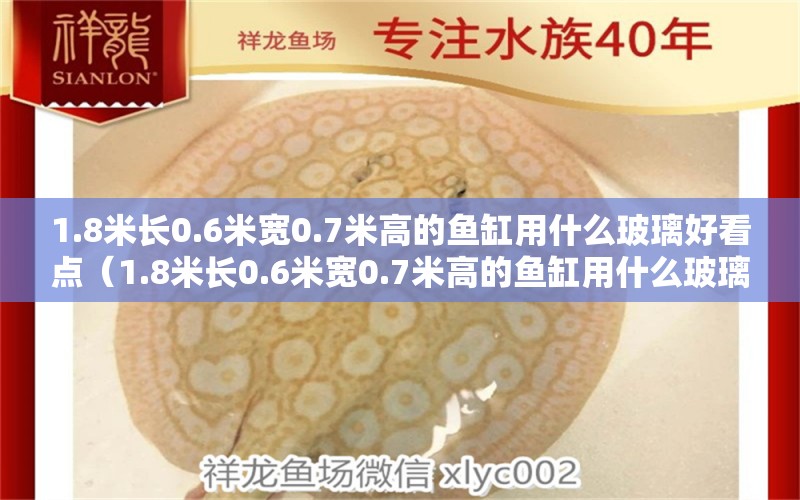 1.8米长0.6米宽0.7米高的鱼缸用什么玻璃好看点（1.8米长0.6米宽0.7米高的鱼缸用什么玻璃好看点呢） 斑马鸭嘴鱼