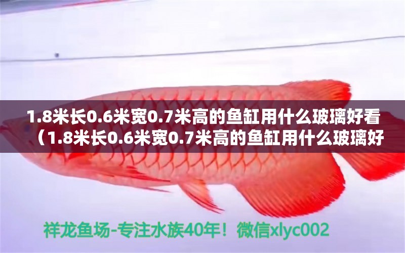 1.8米长0.6米宽0.7米高的鱼缸用什么玻璃好看（1.8米长0.6米宽0.7米高的鱼缸用什么玻璃好看呢） 观赏鱼市场（混养鱼）