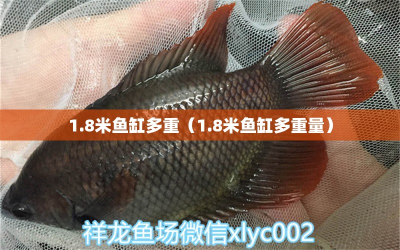 1.8米鱼缸多重（1.8米鱼缸多重量）