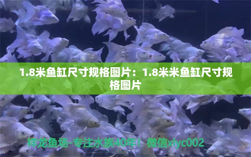 1.8米鱼缸尺寸规格图片：1.8米米鱼缸尺寸规格图片