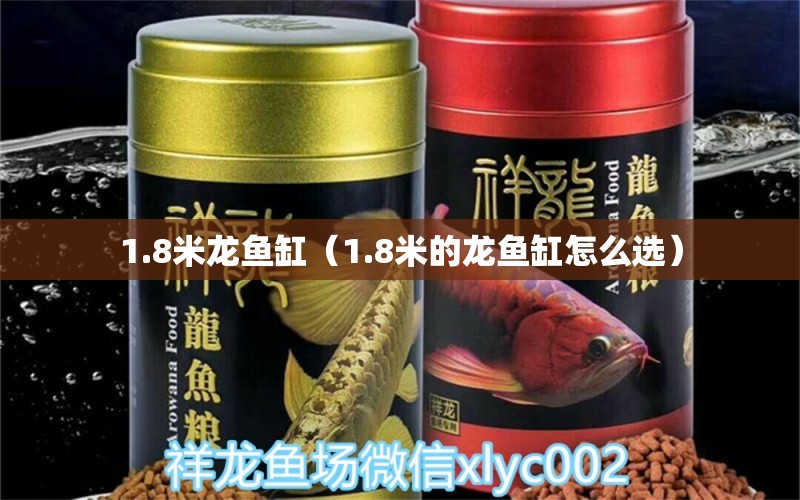 1.8米龙鱼缸（1.8米的龙鱼缸怎么选）