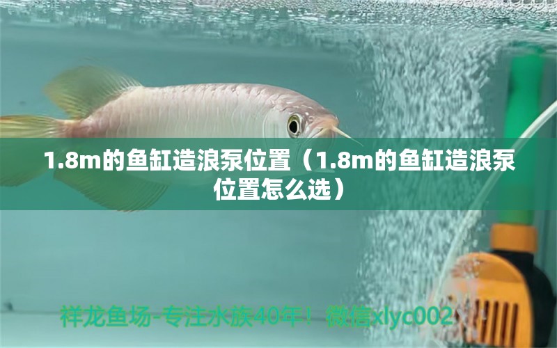 1.8m的鱼缸造浪泵位置（1.8m的鱼缸造浪泵位置怎么选） 鱼缸百科