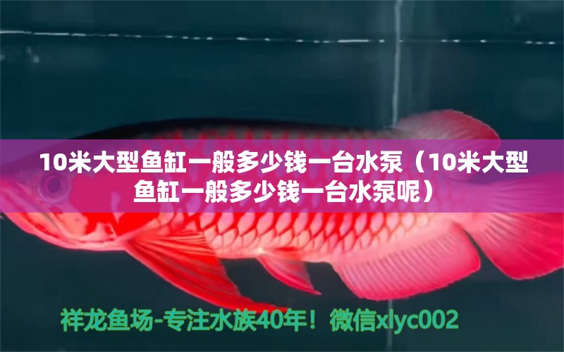 10米大型鱼缸一般多少钱一台水泵（10米大型鱼缸一般多少钱一台水泵呢）