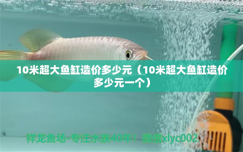 10米超大鱼缸造价多少元（10米超大鱼缸造价多少元一个）