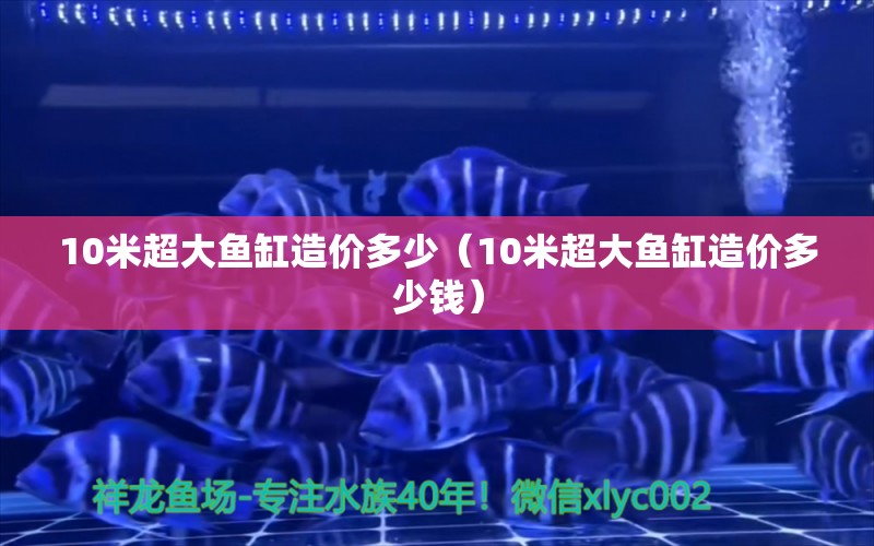 10米超大鱼缸造价多少（10米超大鱼缸造价多少钱）