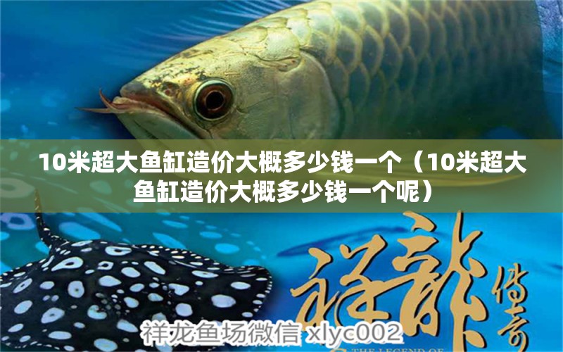 10米超大鱼缸造价大概多少钱一个（10米超大鱼缸造价大概多少钱一个呢）