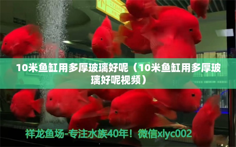 10米鱼缸用多厚玻璃好呢（10米鱼缸用多厚玻璃好呢视频） 鱼缸百科