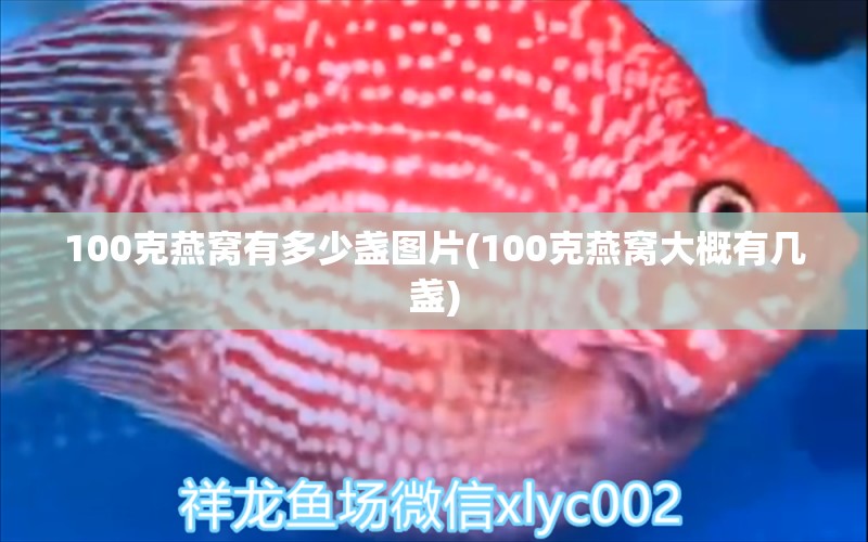 100克燕窝有多少盏图片(100克燕窝大概有几盏)