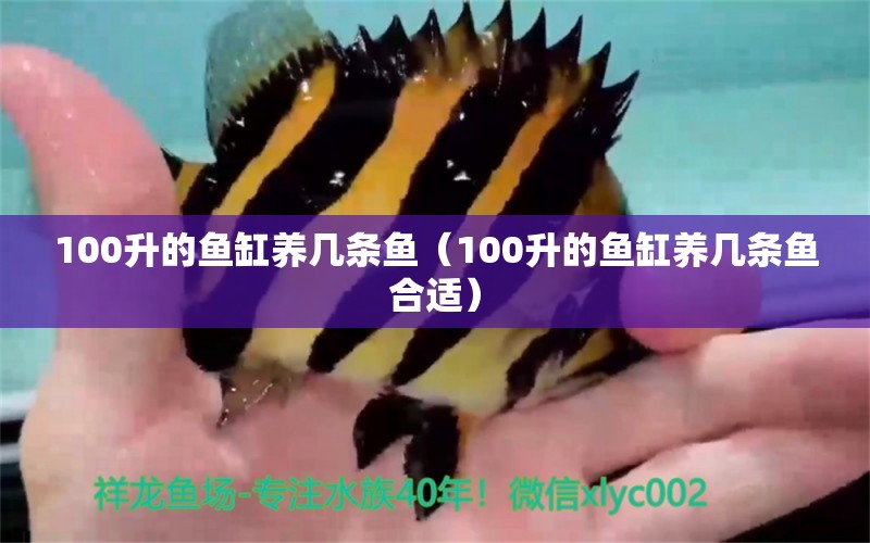 100升的鱼缸养几条鱼（100升的鱼缸养几条鱼合适）