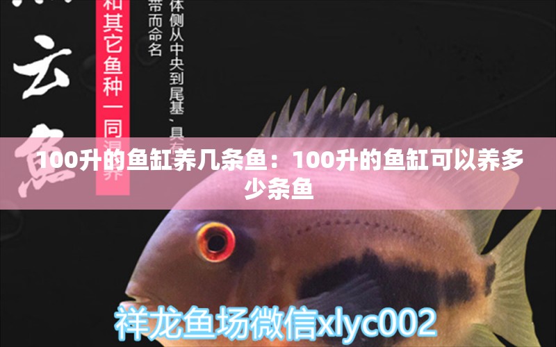 100升的鱼缸养几条鱼：100升的鱼缸可以养多少条鱼 鱼缸定做 第2张