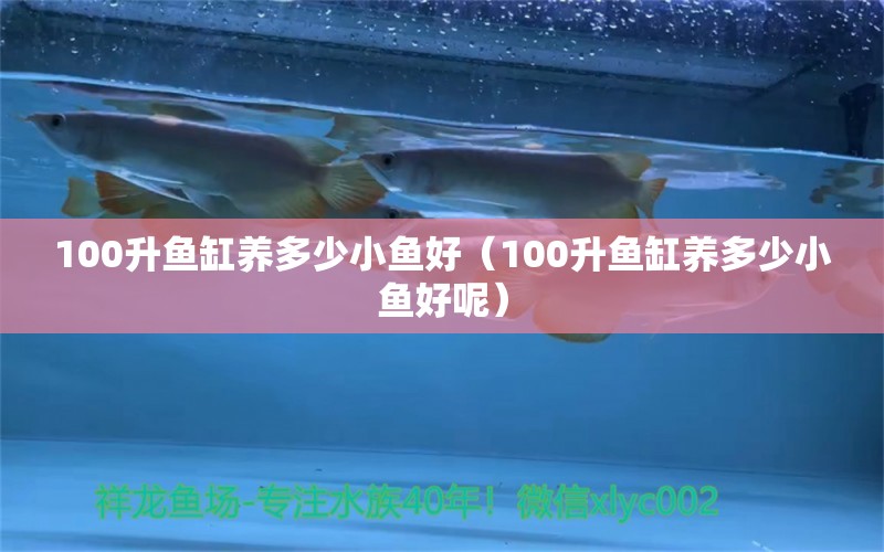 100升鱼缸养多少小鱼好（100升鱼缸养多少小鱼好呢）