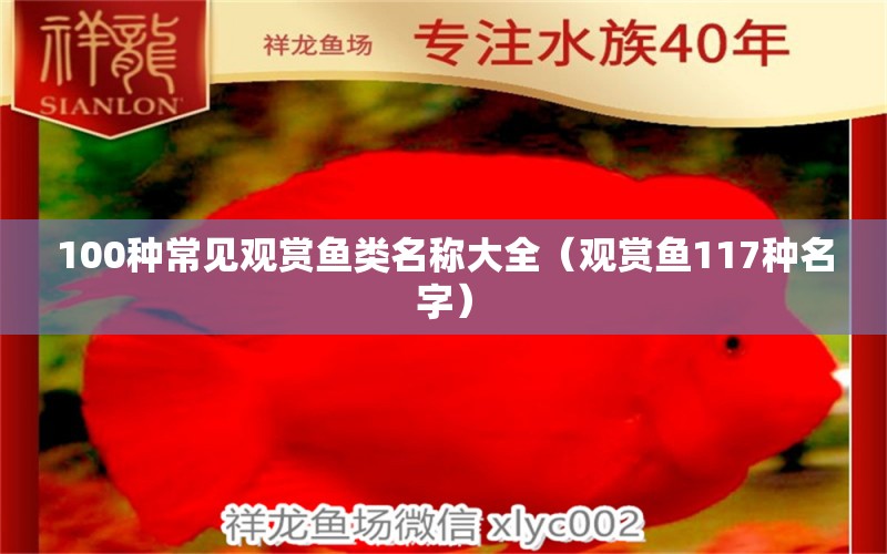 100种常见观赏鱼类名称大全（观赏鱼117种名字） 广州观赏鱼批发市场