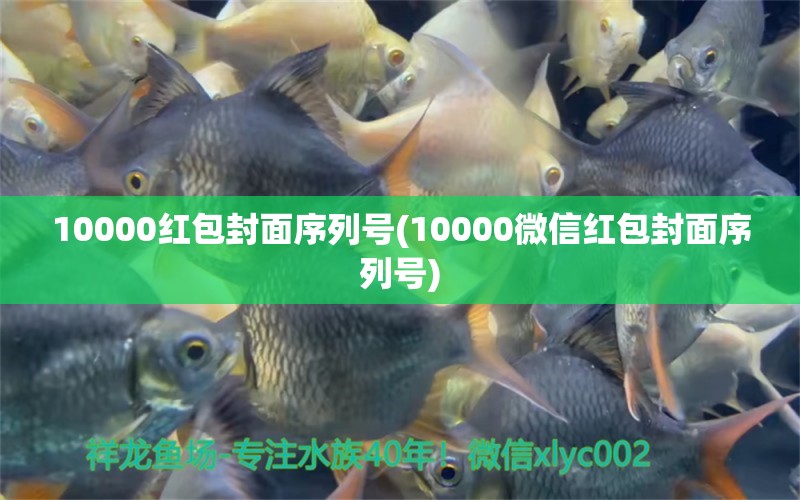 10000红包封面序列号(10000微信红包封面序列号) 球鲨鱼