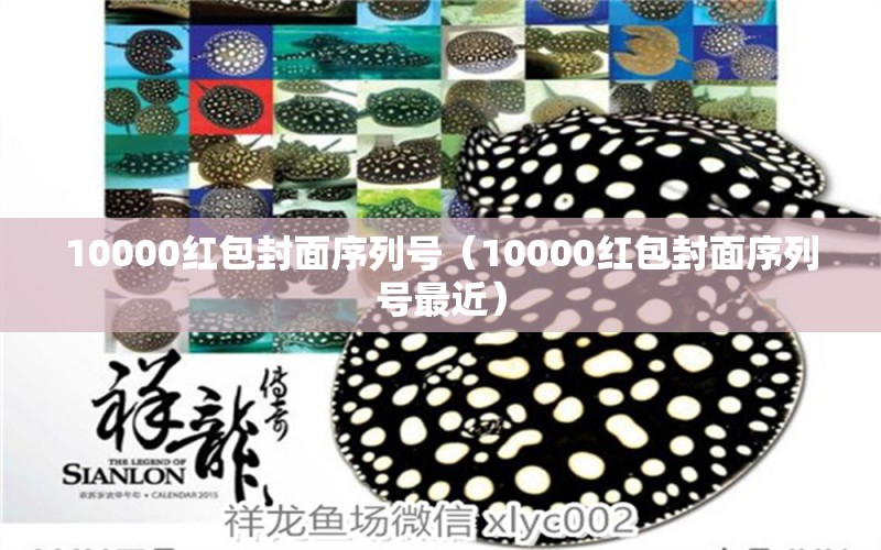 10000红包封面序列号（10000红包封面序列号最近）