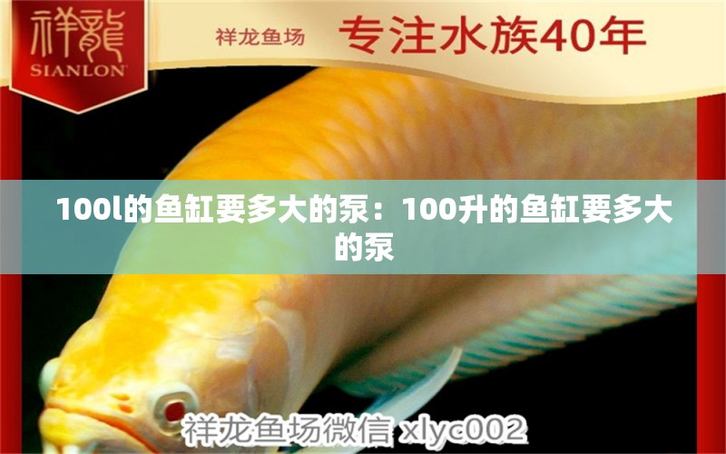 100l的鱼缸要多大的泵：100升的鱼缸要多大的泵 鱼缸百科 第2张